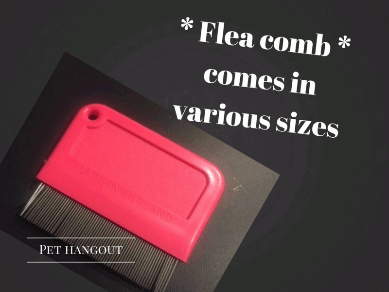 Flea comb